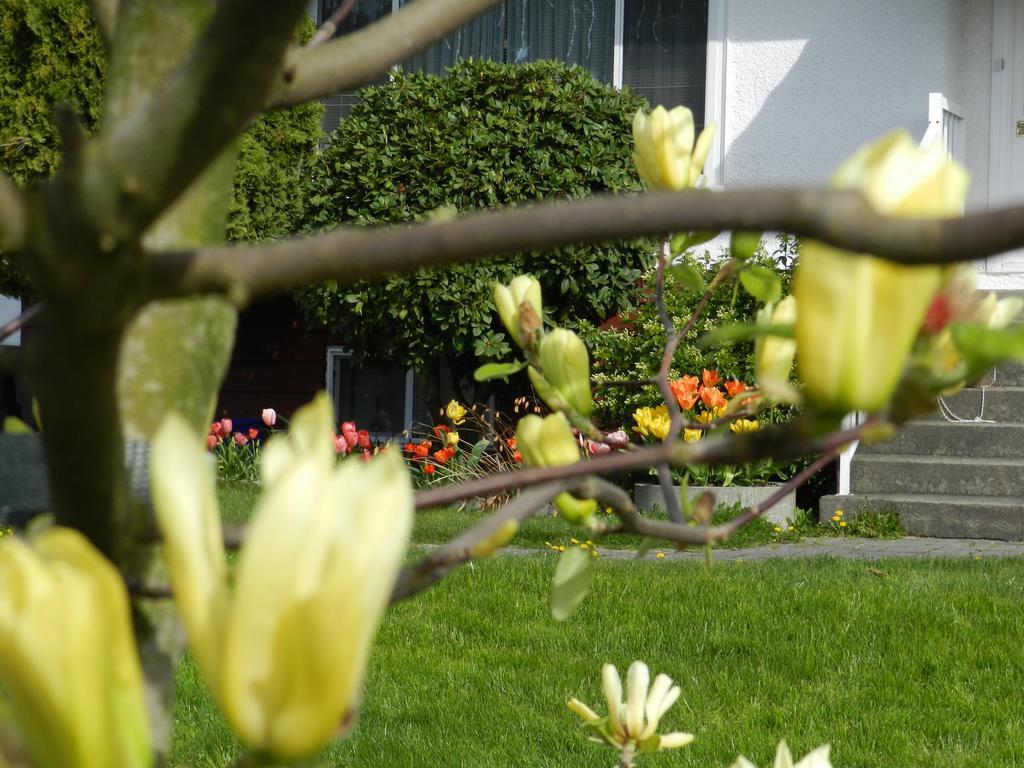 Serenity Bed & Breakfast Burnaby Exterior photo