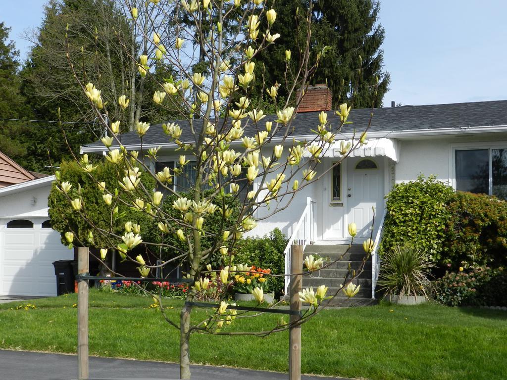 Serenity Bed & Breakfast Burnaby Exterior photo