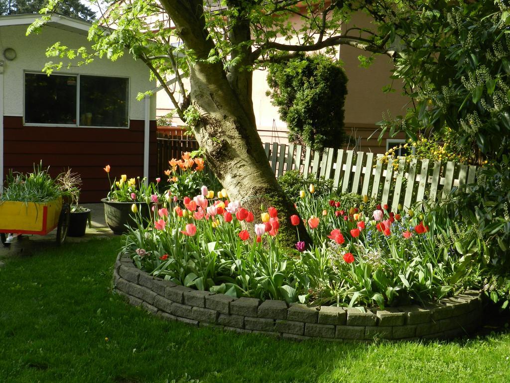 Serenity Bed & Breakfast Burnaby Exterior photo